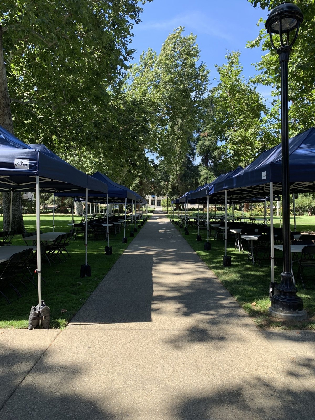Sunset navy lunch tents lining a tree-lined campus walkway